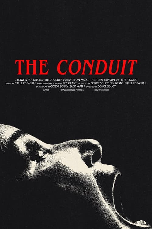 Постер: The Conduit