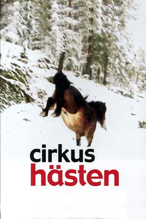 Постер: Cirkushästen