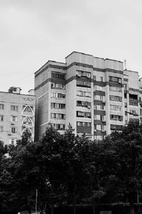Постер: Determination