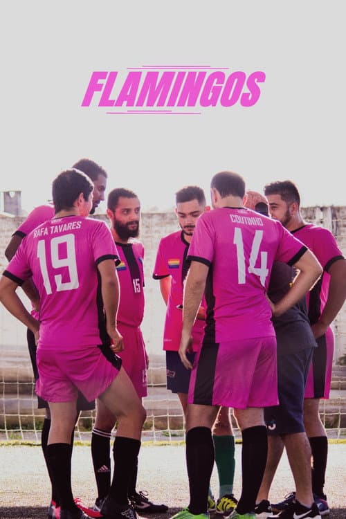 Постер: Flamingos