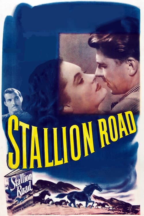 Постер: Stallion Road