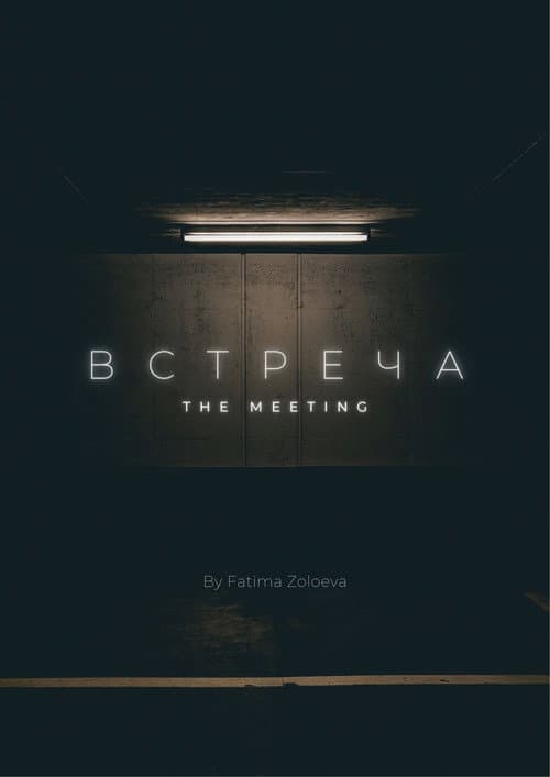 Постер: Встреча
