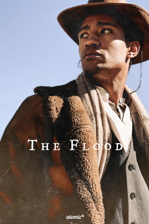 Постер: Flood