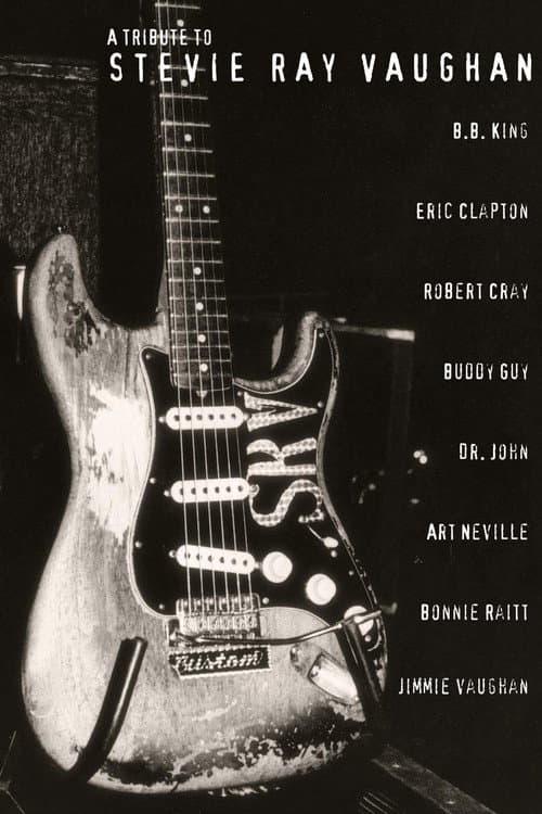 Постер: A Tribute to Stevie Ray Vaughan