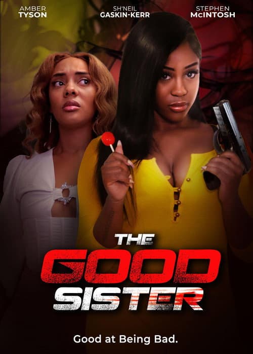 Постер: The Good Sister