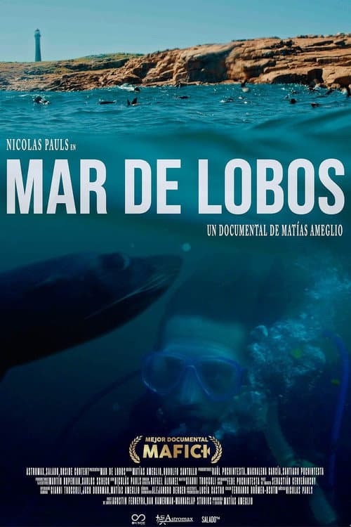 Постер: Mar de Lobos