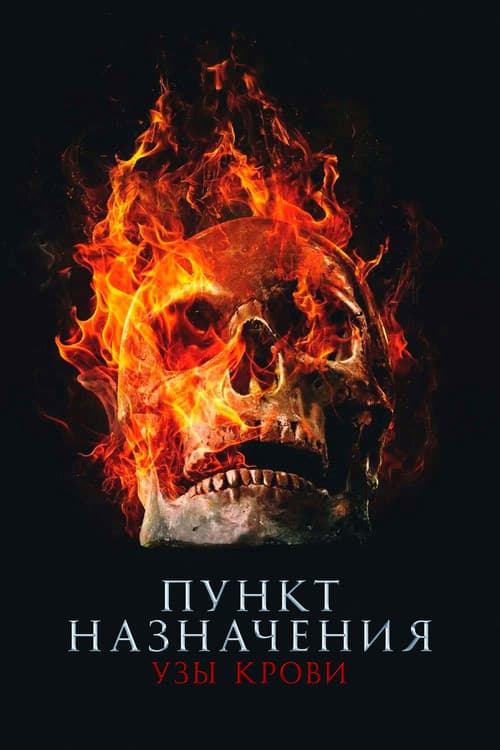 Постер 5