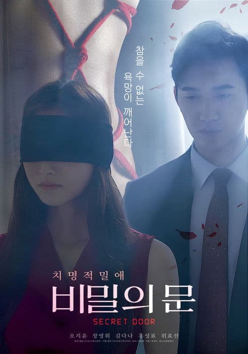 Постер: 비밀의 문