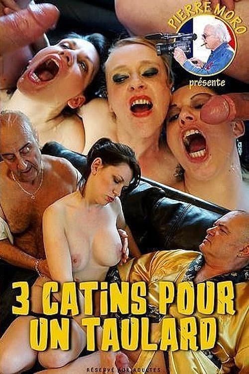 Постер: 3 Catins pour un Taulard