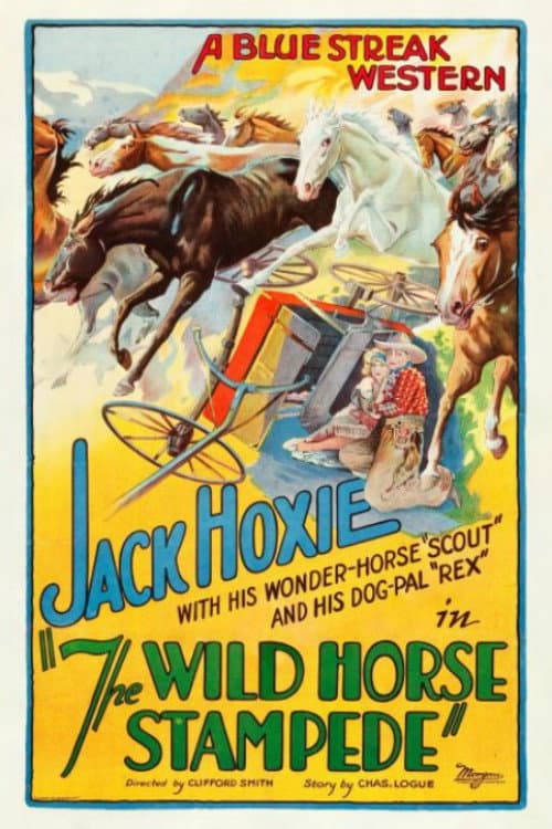 Постер: The Wild Horse Stampede