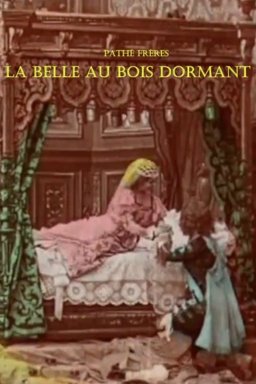 Постер: La Belle au bois dormant