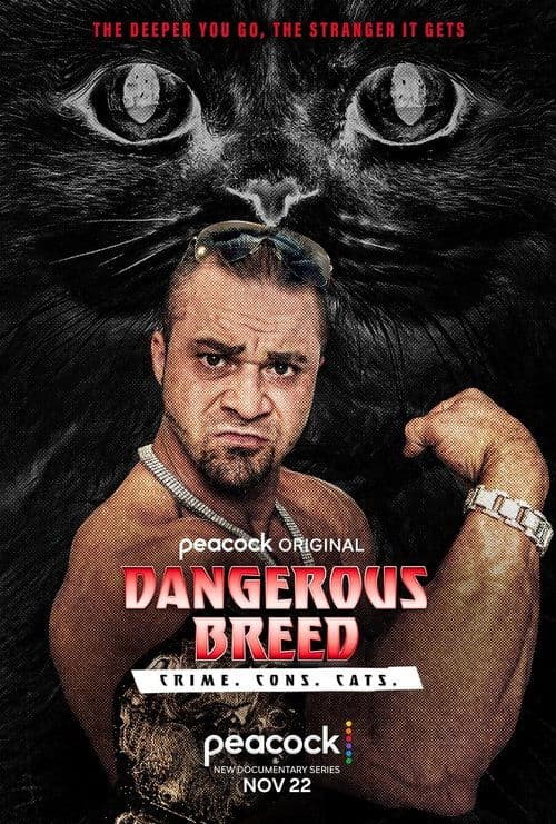 Постер: Dangerous Breed: Crime. Cons. Cats.