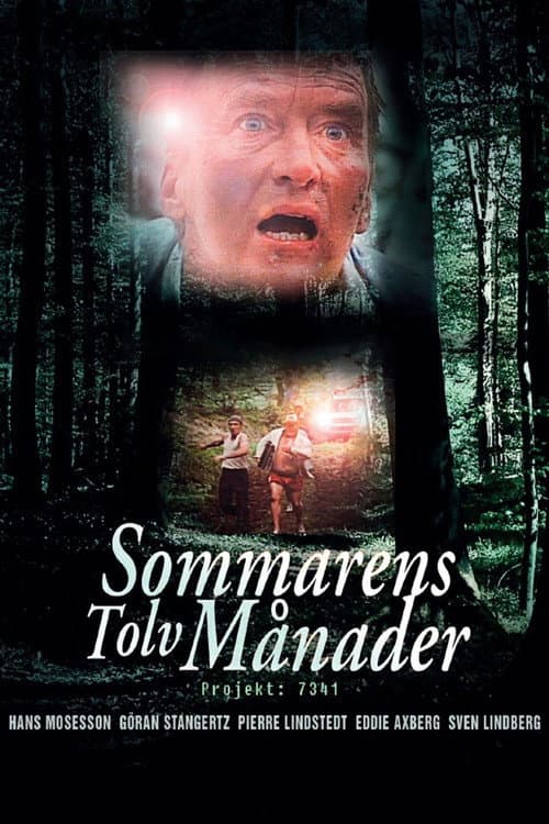 Постер: Sommarens Tolv Månader