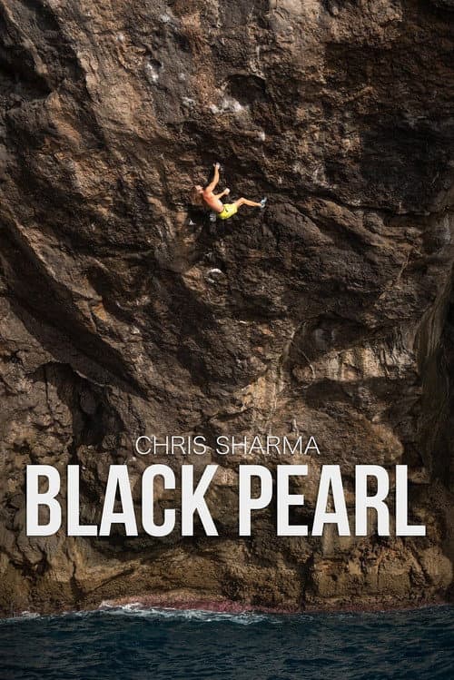 Постер: Black Pearl
