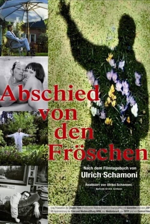 Постер: Abschied von den Fröschen