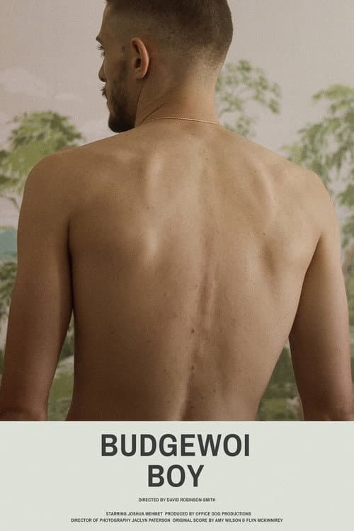 Постер: Budgewoi Boy