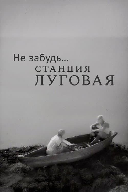 Кадр 5