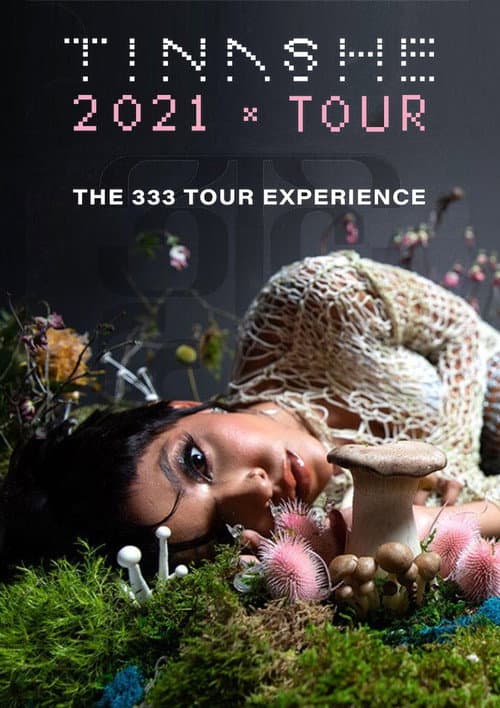 Постер: The 333 Tour Experience
