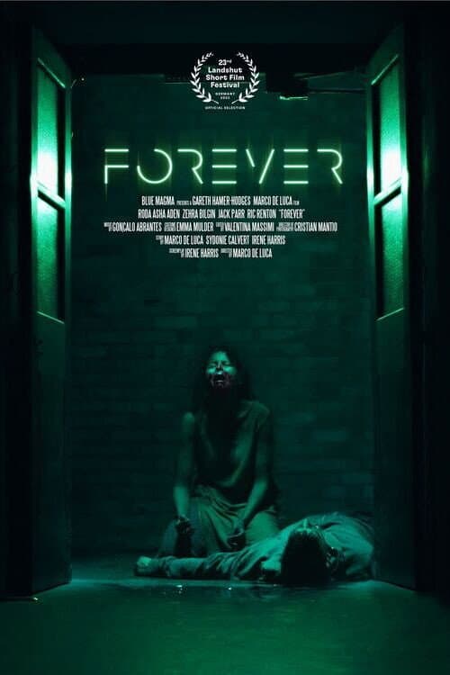 Постер: Forever