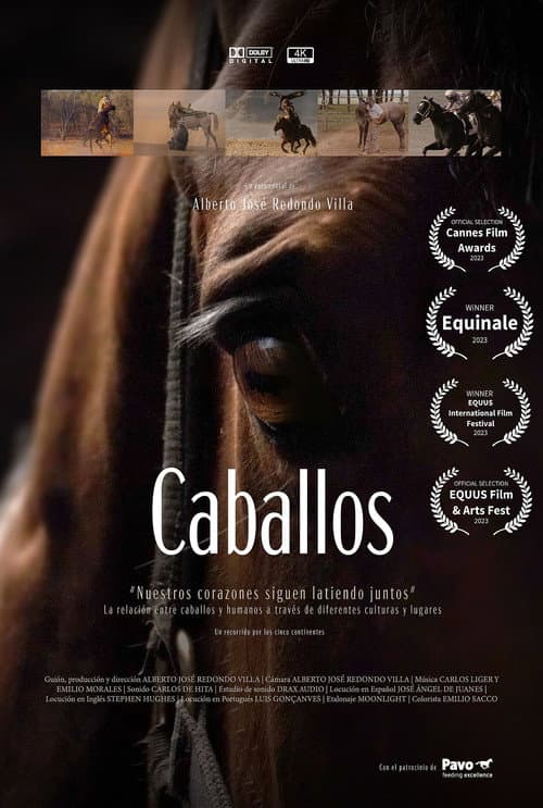Постер: Caballos