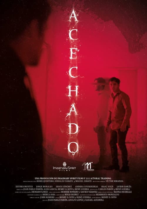 Постер: Acechado