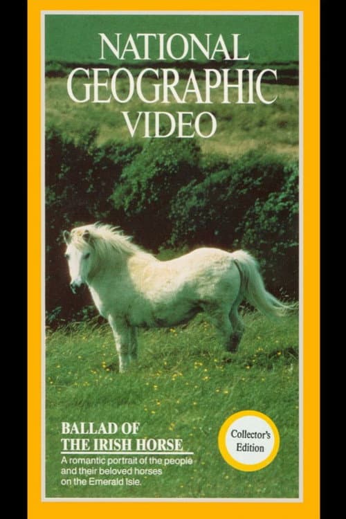 Постер: Ballad of the Irish Horse