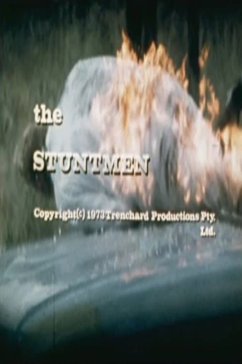 Постер: The Stuntmen