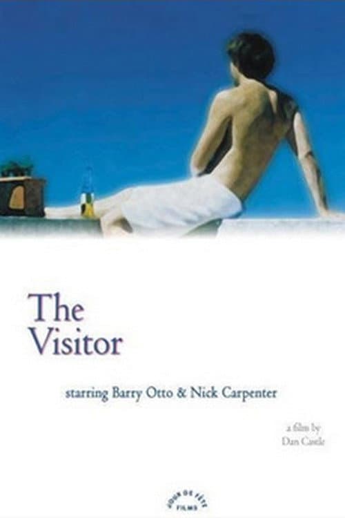 Постер: The Visitor