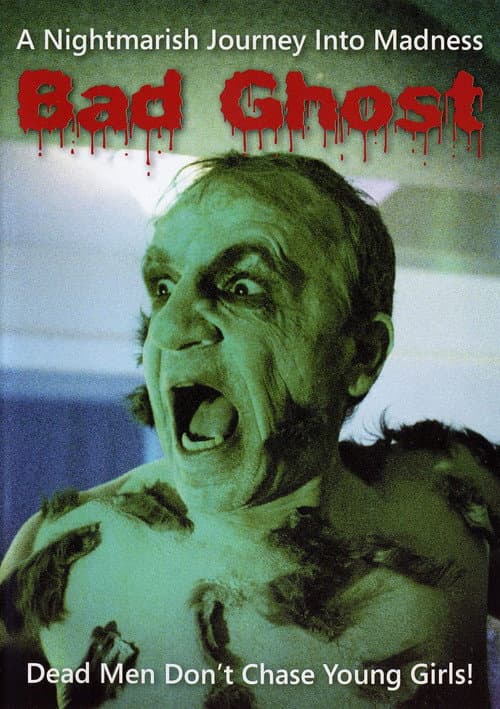 Постер: Bad Ghost