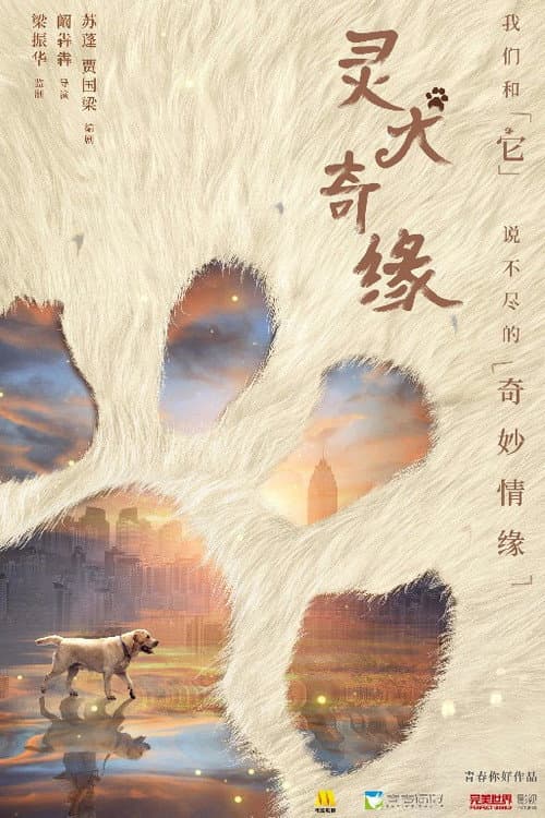 Постер: 灵犬奇缘
