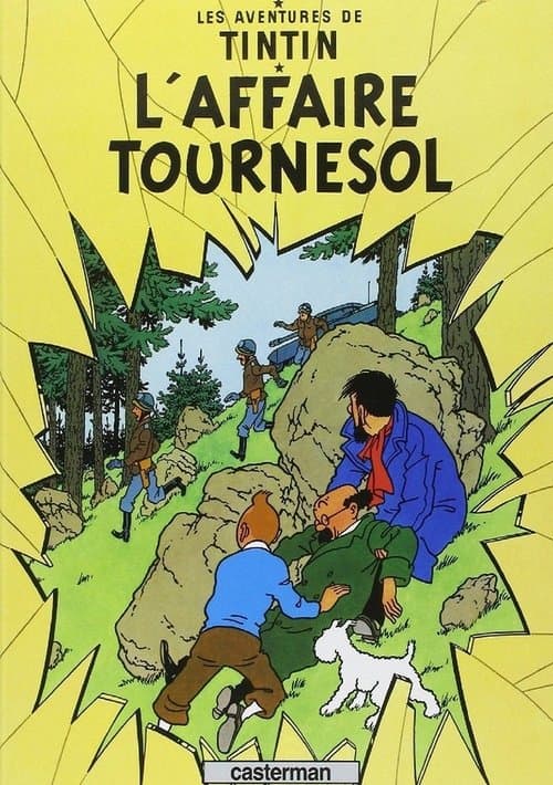 Постер: L'Affaire Tournesol