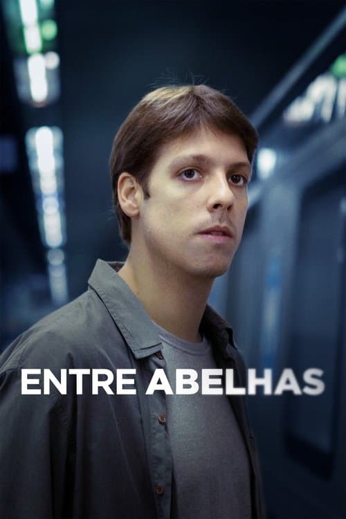 Постер: Entre Abelhas