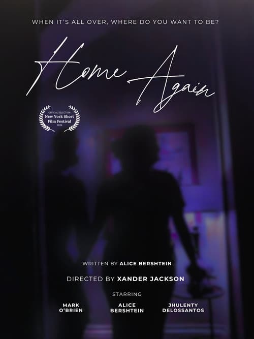 Постер: Home Again