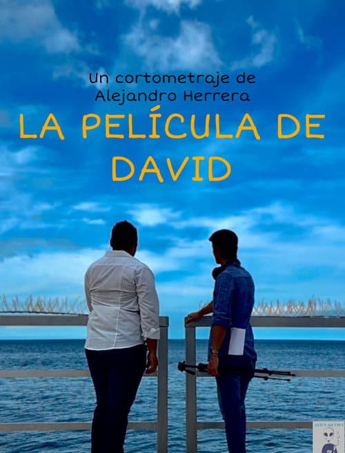 Постер: La película de David