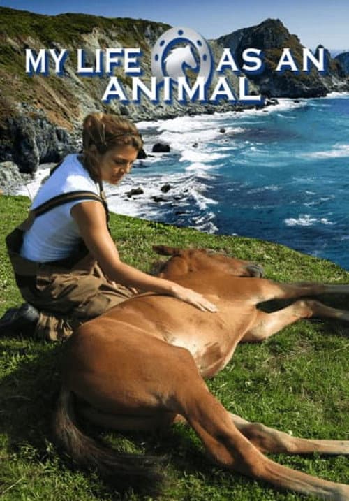 Постер: My Life as an Animal