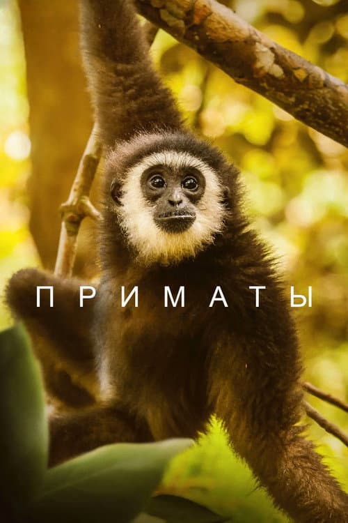Кадр 2