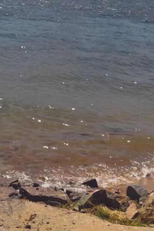 Постер: Rio, Memórias, Recomeços...
