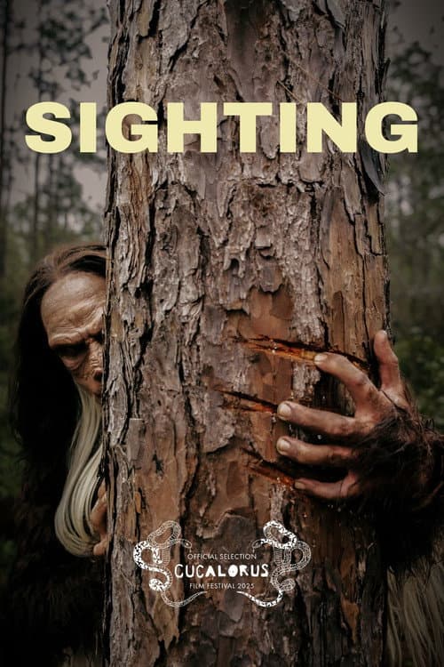 Постер: Sighting