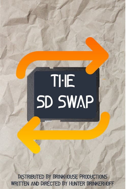 Постер: The SD Swap