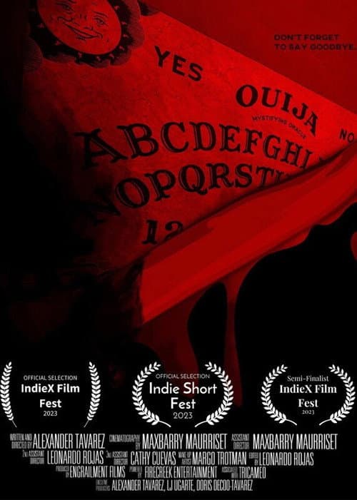 Постер: Homicidium Cruentum