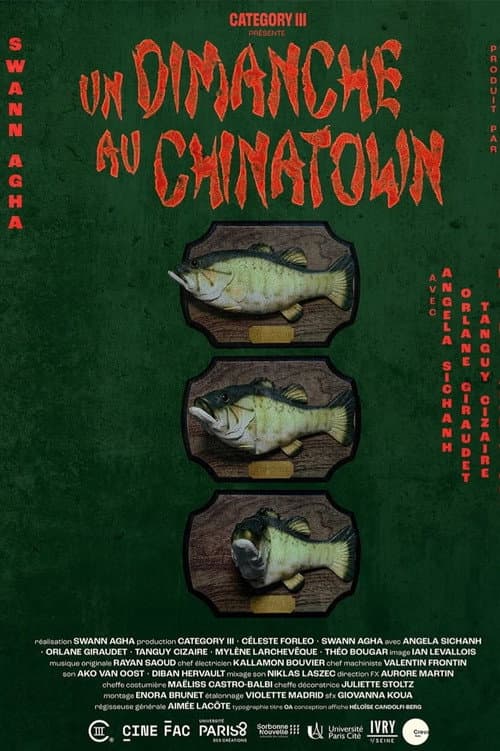 Постер: Un dimanche au Chinatown