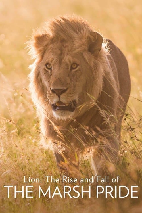 Постер: Lion: The Rise and Fall of the Marsh Pride