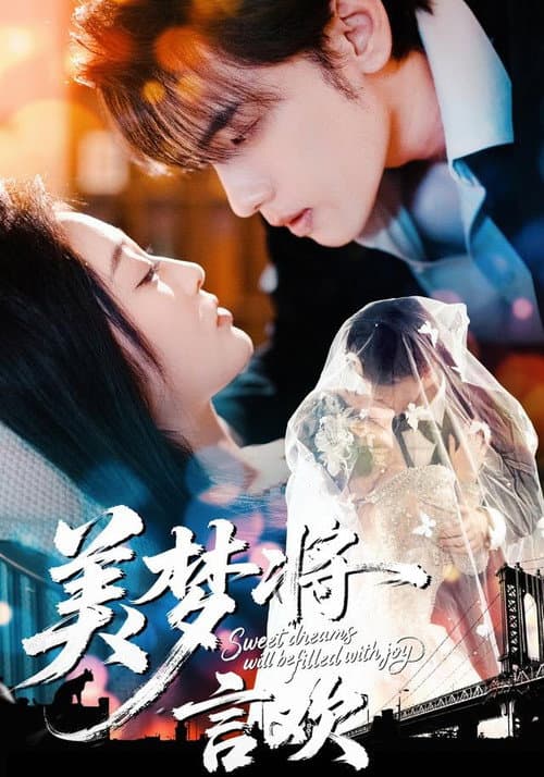 Постер: 美梦将言欢