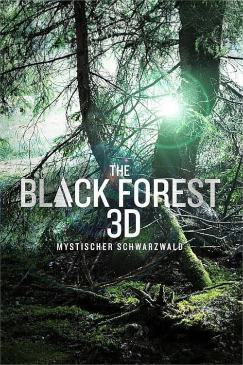 Постер: The Black Forest - Mystischer Schwarzwald