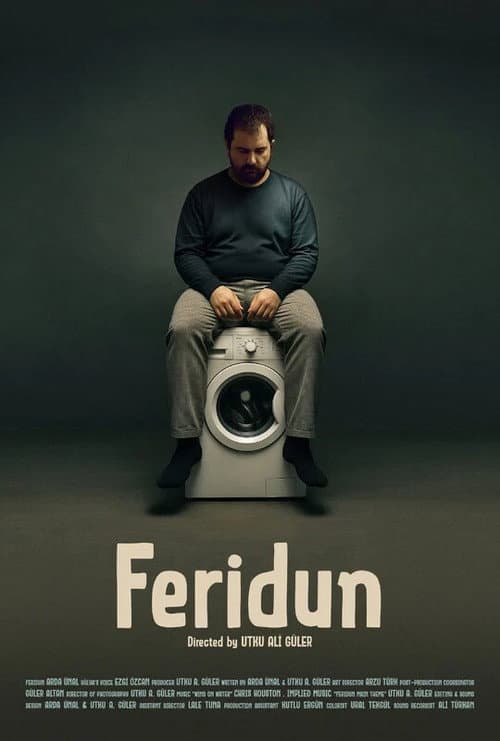 Постер: Feridun