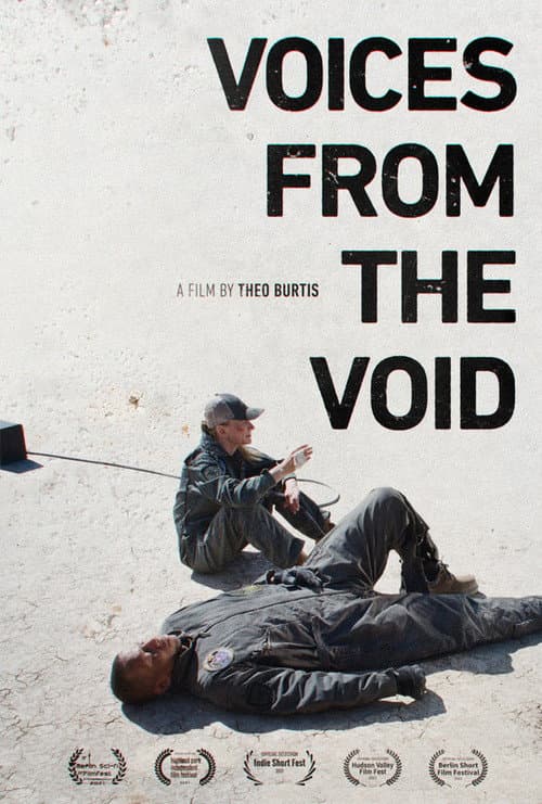 Постер: Voices from the Void