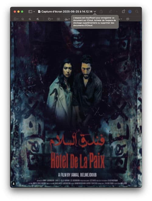 Постер: Hôtel de la Paix