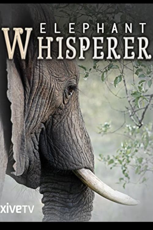 Постер: Elephant Whisperer