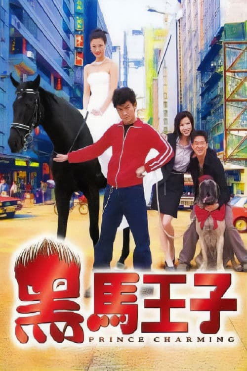 Постер: 黑馬王子