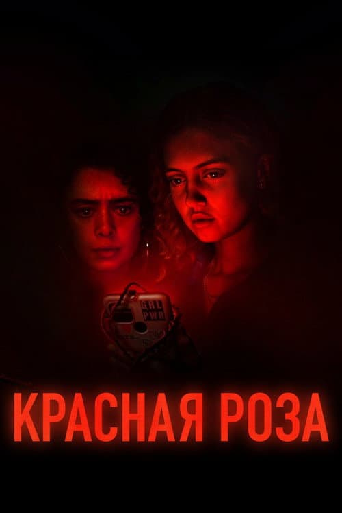 Постер: Красная роза